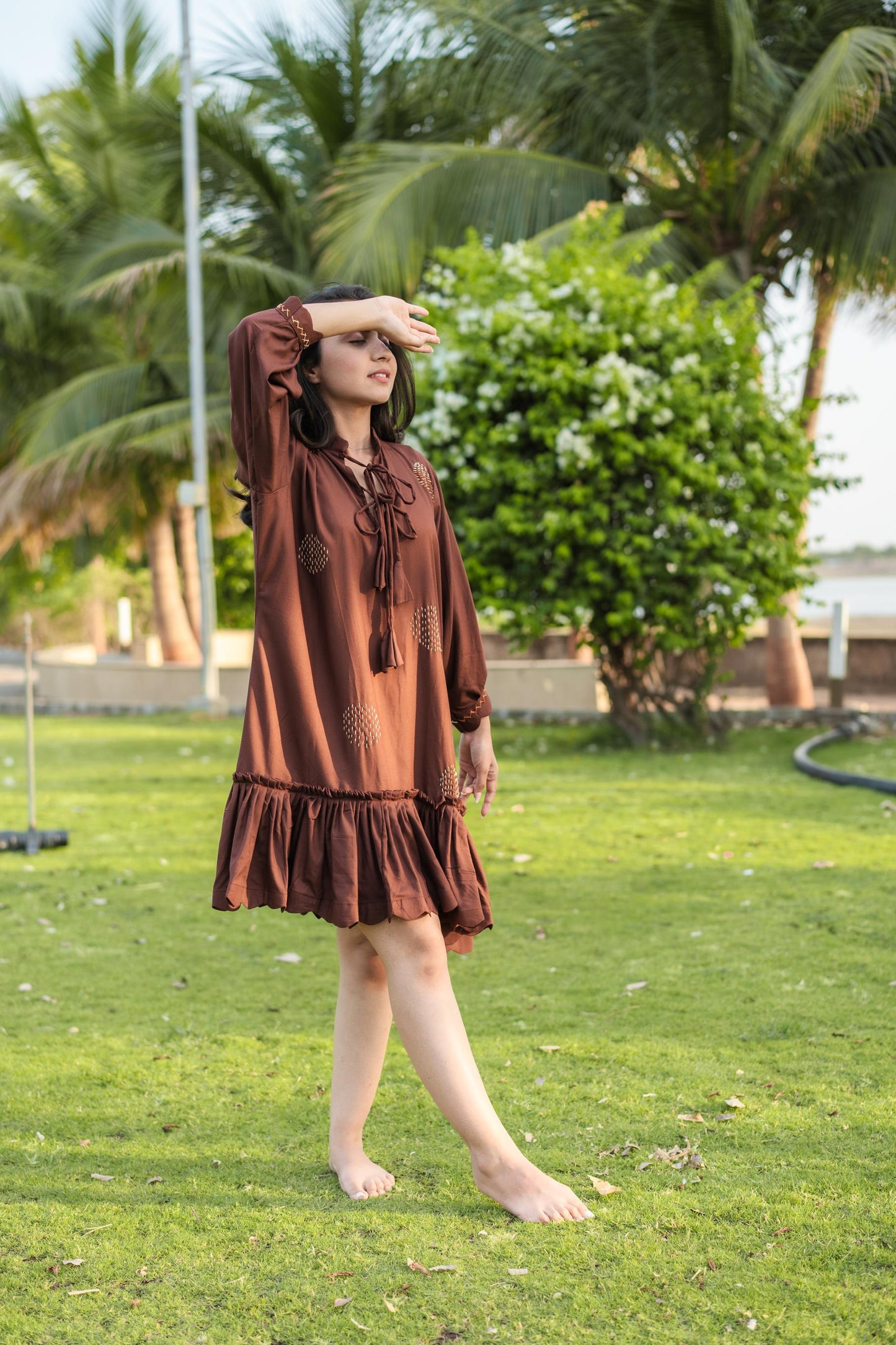 BROWNY DRESS